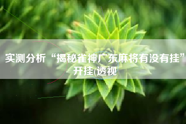 实测分析“揭秘雀神广东麻将有没有挂”开挂(透视