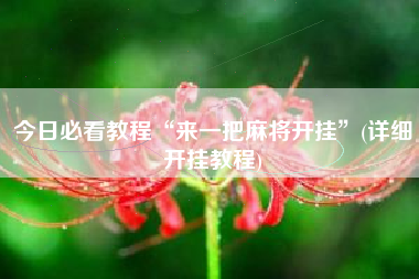 今日必看教程“来一把麻将开挂”(详细开挂教程)