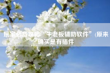 玩家必备攻略“牛老板辅助软件”(原来确实是有插件