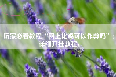 玩家必看教程“网上比鸡可以作弊吗”(详细开挂教程)