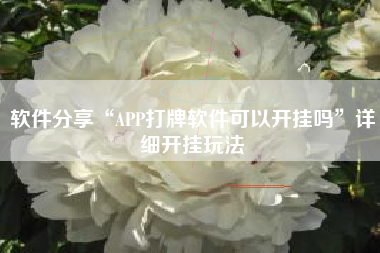 软件分享“APP打牌软件可以开挂吗”详细开挂玩法
