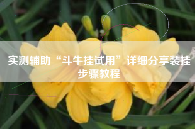 实测辅助“斗牛挂试用”详细分享装挂步骤教程