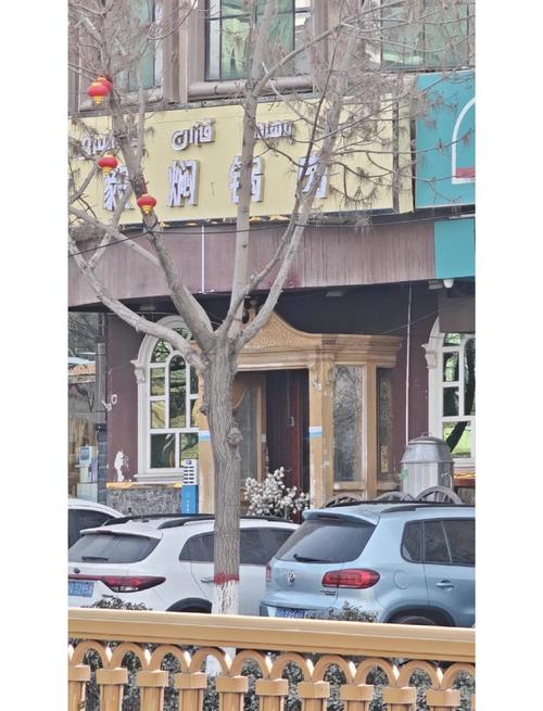 vivox9上市时间/vivoX9上市时间是哪一年