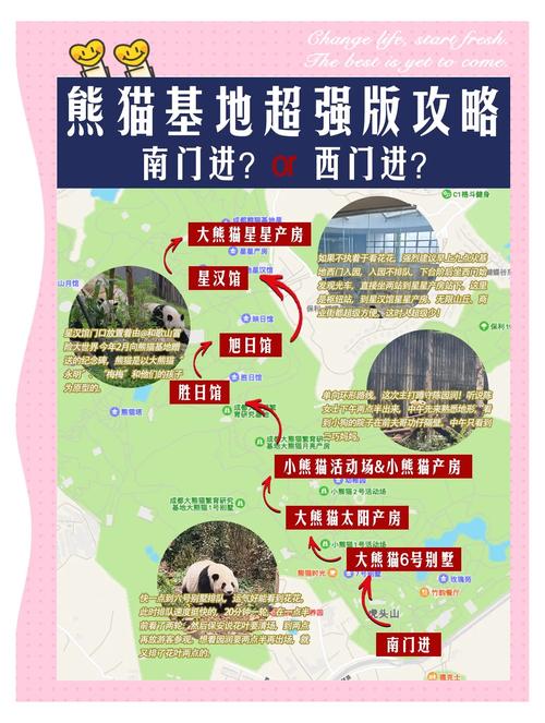 成都熊猫基地路线图,成都熊猫基地路线图高清
