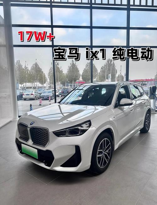 【宝马电动车,宝马电动车有哪几款】