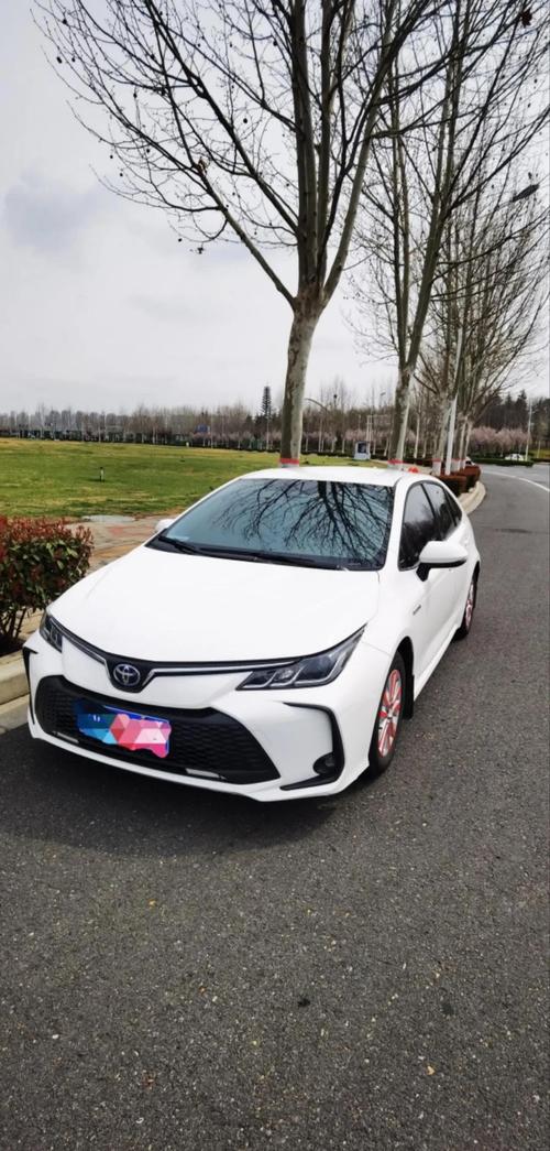 2023卡罗拉新款上市/202o款卡罗拉