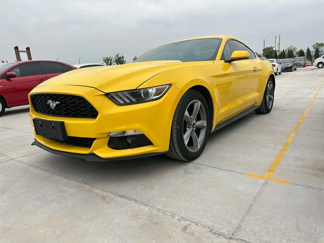 【野马汽车价格及图片,福特野马汽车价格及图片】