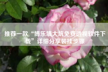 推荐一款“博乐填大坑免费透视软件下载”详细分享装挂步骤