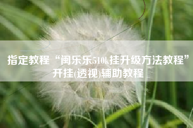 指定教程“闽乐乐510k挂升级方法教程”开挂(透视)辅助教程