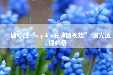 一键必胜“wepoker底牌透视挂”(曝光透视必备
