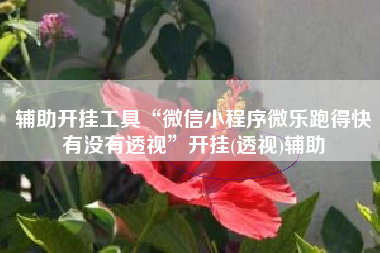 辅助开挂工具“微信小程序微乐跑得快有没有透视”开挂(透视)辅助