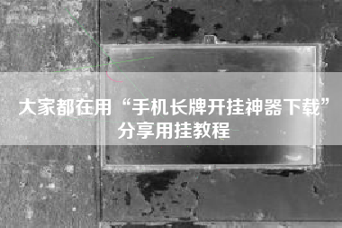 大家都在用“手机长牌开挂神器下载”分享用挂教程
