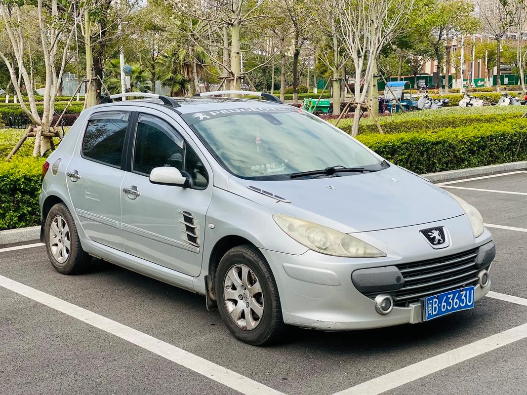 【2010年东风标致307多少钱,东风标致2010款307】