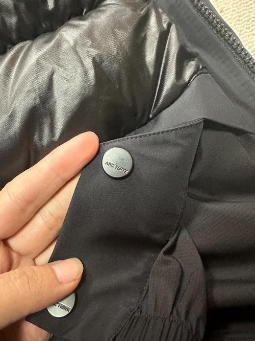 始祖鸟属于什么档次/祖始鸟是什么档次