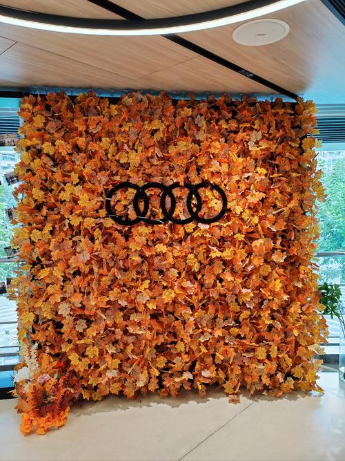 【石家庄奥迪4s店地址及电话号码,石家庄奥迪4s店销售电话号码】