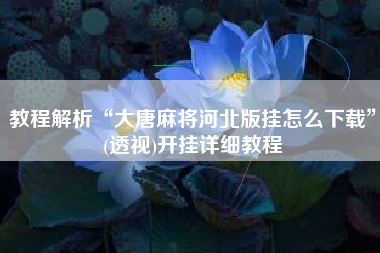 教程解析“大唐麻将河北版挂怎么下载”(透视)开挂详细教程