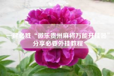 一键必胜“微乐贵州麻将万能开挂器”分享必要外挂教程