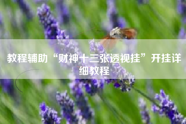 教程辅助“财神十三张透视挂”开挂详细教程