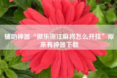 辅助神器“微乐浙江麻将怎么开挂”原来有神器下载