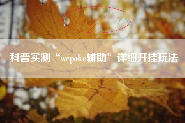 科普实测“wepoke辅助”详细开挂玩法