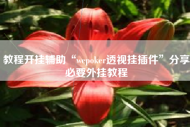 教程开挂辅助“wepoker透视挂插件”分享必要外挂教程