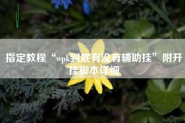 指定教程“wpk到底有没有辅助挂”附开挂脚本详细