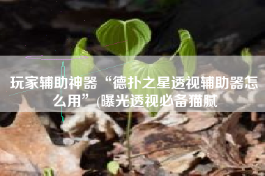 玩家辅助神器“德扑之星透视辅助器怎么用”(曝光透视必备猫腻