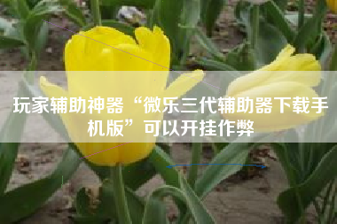 玩家辅助神器“微乐三代辅助器下载手机版”可以开挂作弊