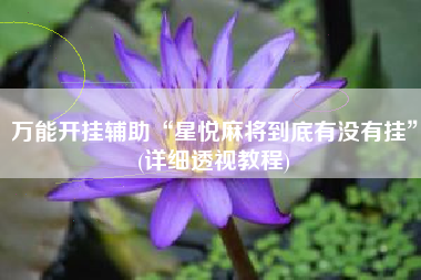 万能开挂辅助“星悦麻将到底有没有挂”(详细透视教程)