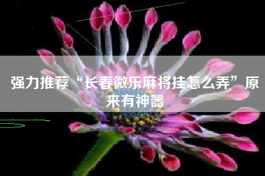 强力推荐“长春微乐麻将挂怎么弄”原来有神器