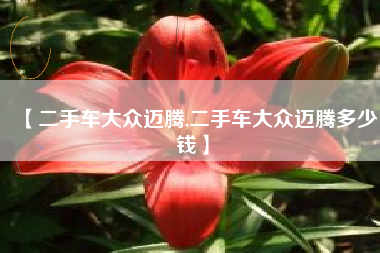 【二手车大众迈腾,二手车大众迈腾多少钱】